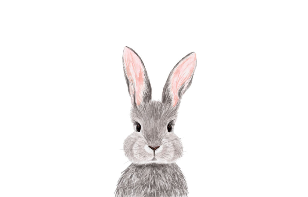 Adorable rabbit with soft fur Adorable rabbit with soft fur