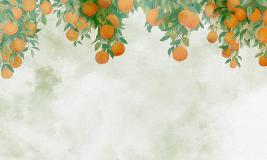 Wall murals Oranges on a tree branch - Image 3