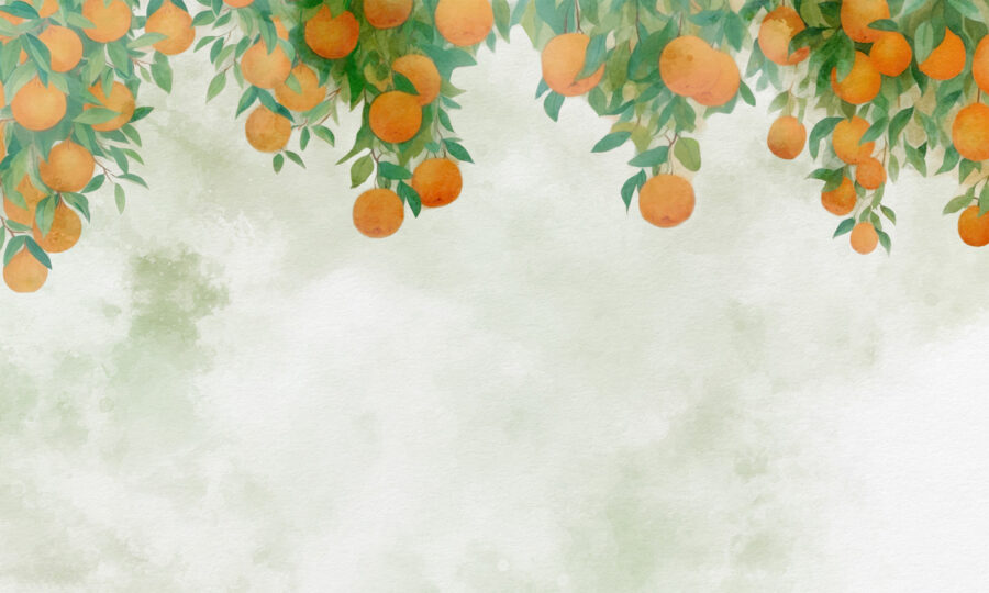 Oranges on a tree branch