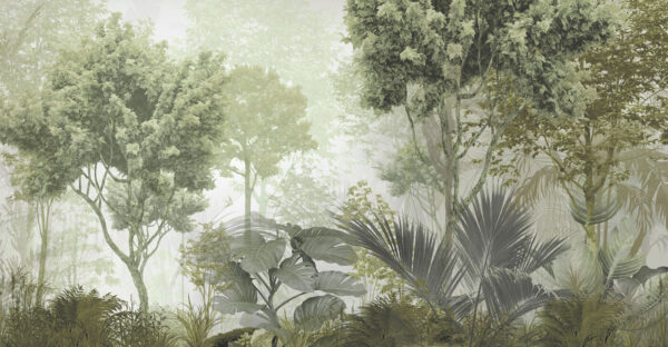 A group of trees and plants in a foggy forest A group of trees and plants in a foggy forest