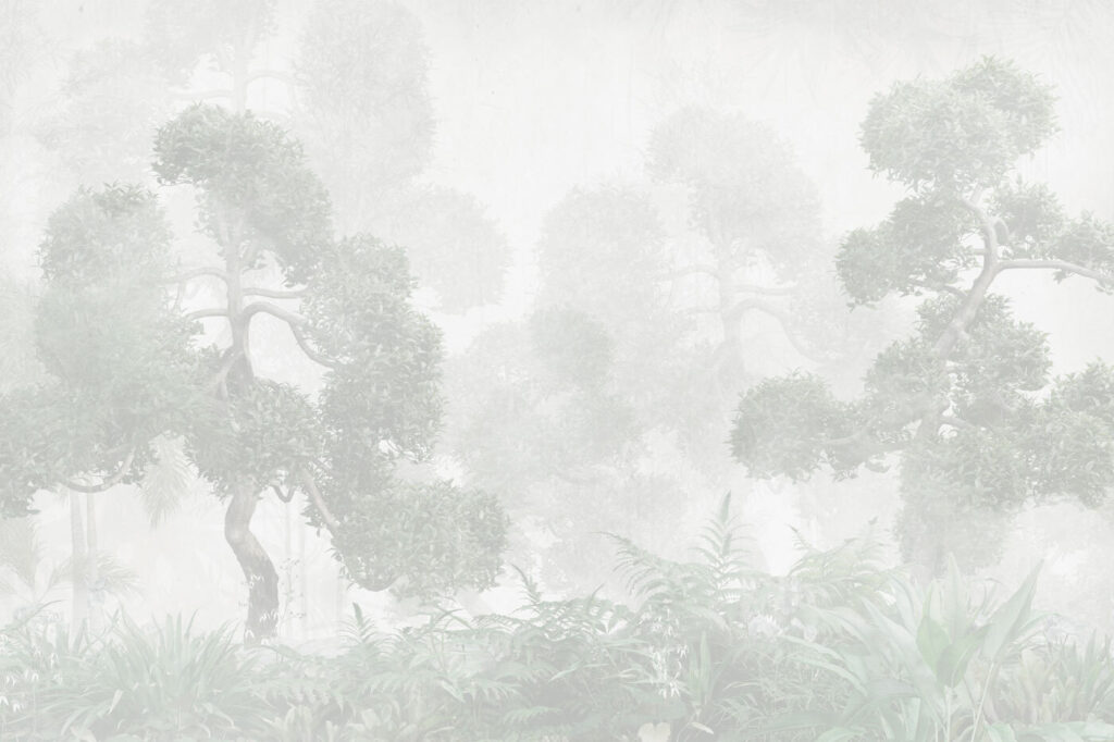 A foggy forest with trees and ferns A foggy forest with trees and ferns