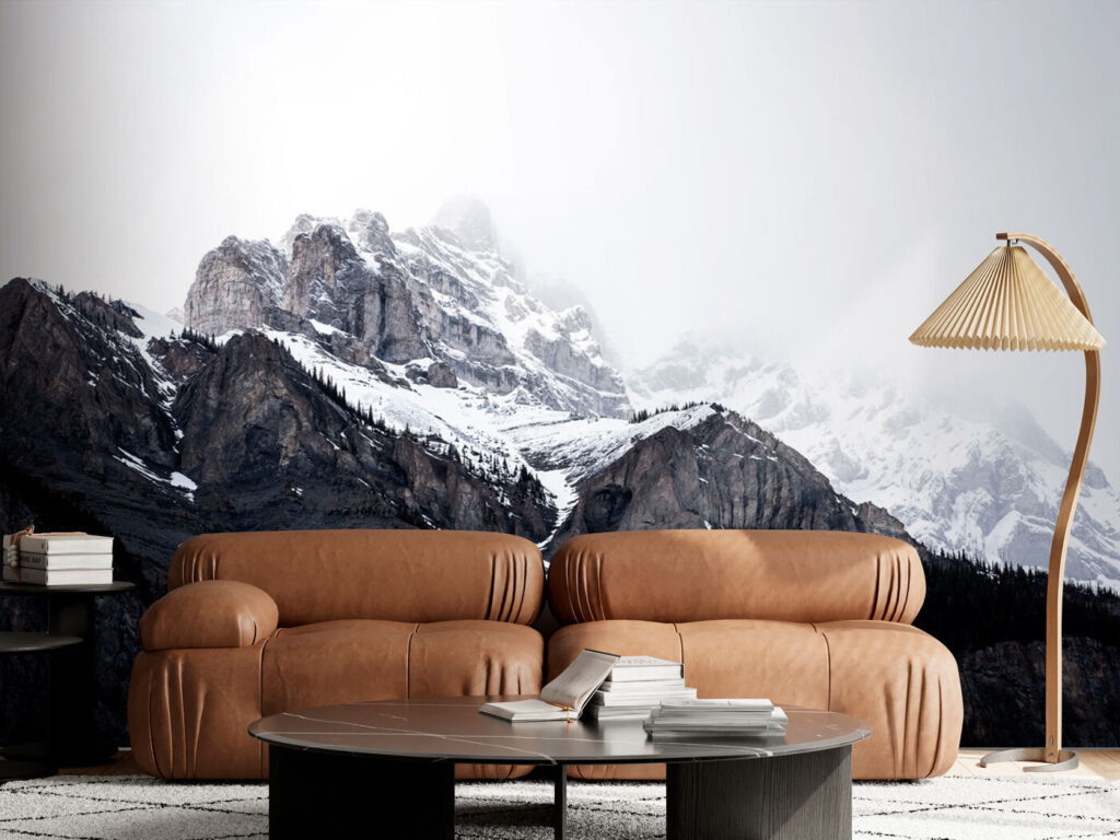 A snowy mountain with trees