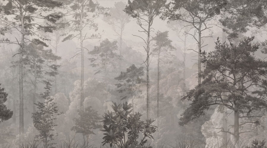 Forest with trees and mountains Forest with trees and mountains