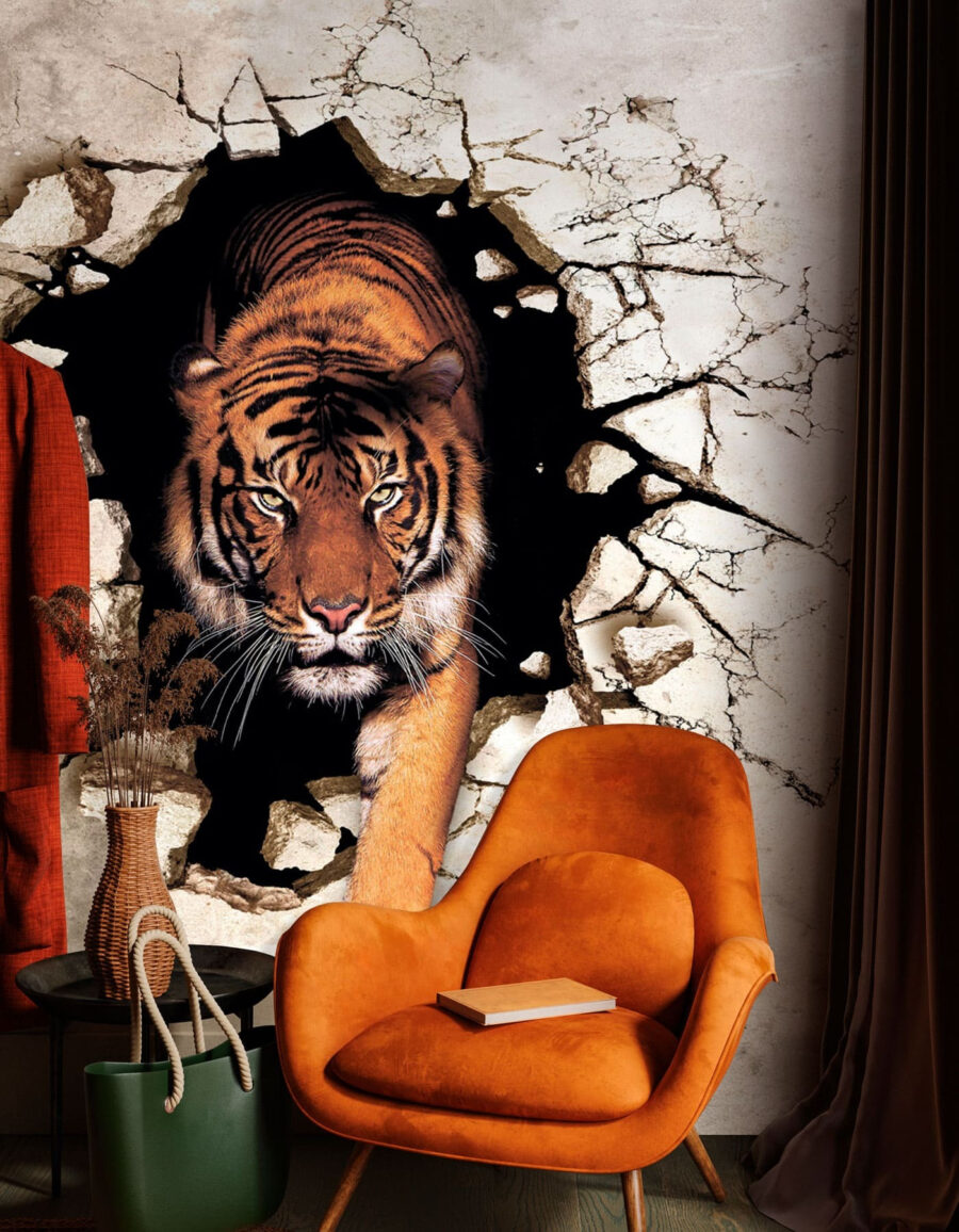 Wall murals Tiger coming out of a hole in a wall
