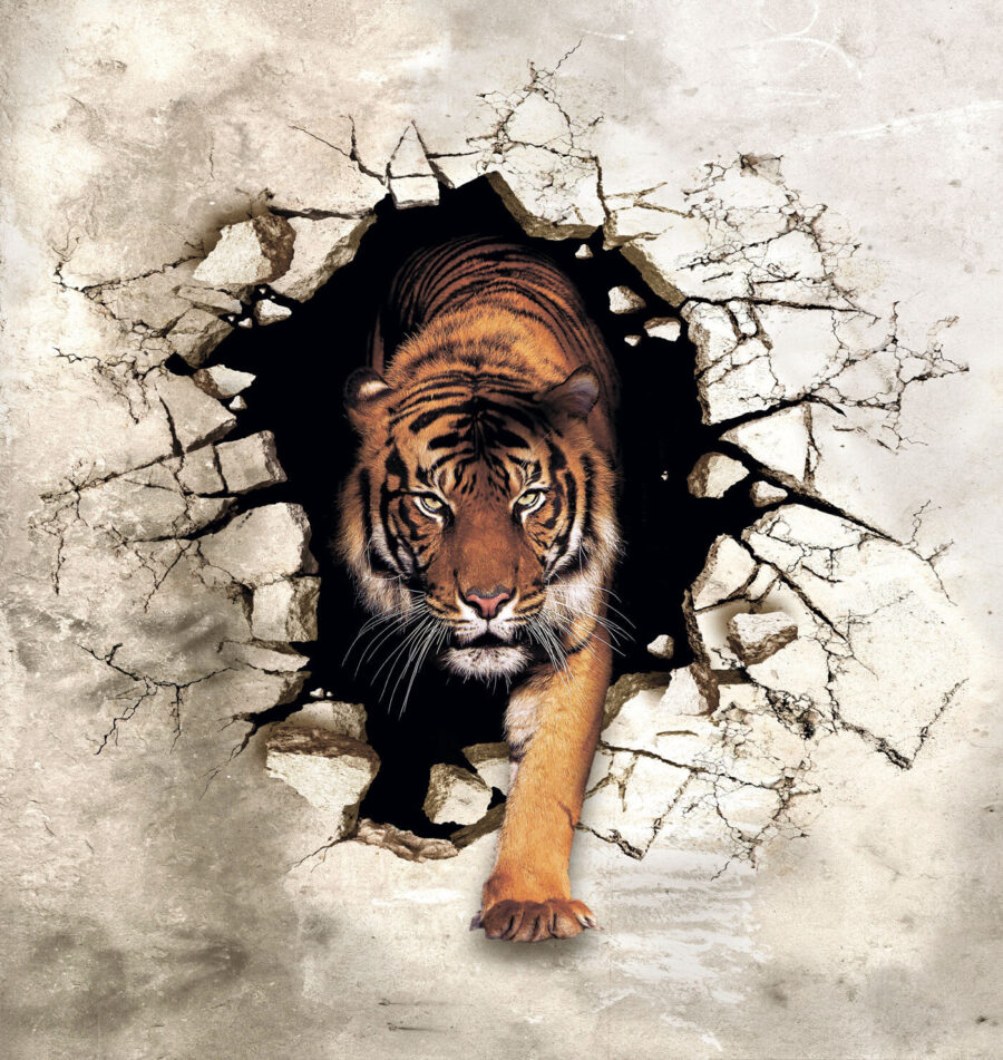 Wall murals Tiger coming out of a hole in a wall - Image 5