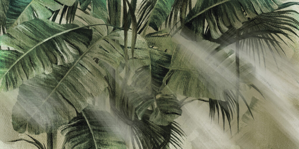 Lush foliage bathed in soft light Lush foliage bathed in soft light
