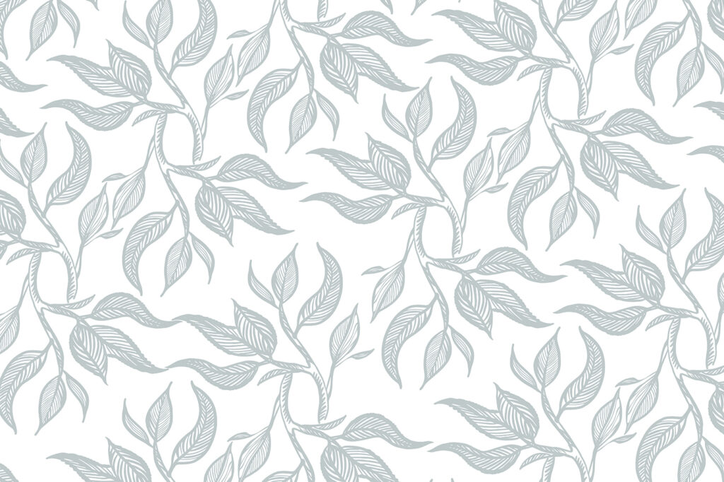 Pattern of leaves on a white background Pattern of leaves on a white background