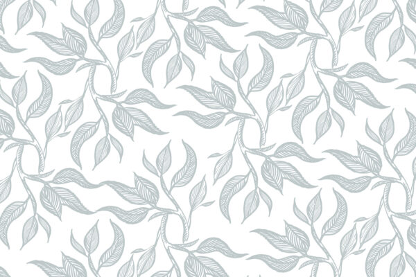 Pattern of leaves on a white background u96720p 600x400 - Pattern of leaves on a white background - tegory