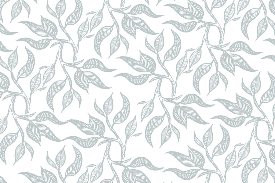 Pattern of leaves on a white background u96720p 900x600 - Pattern of leaves on a white background - tegory