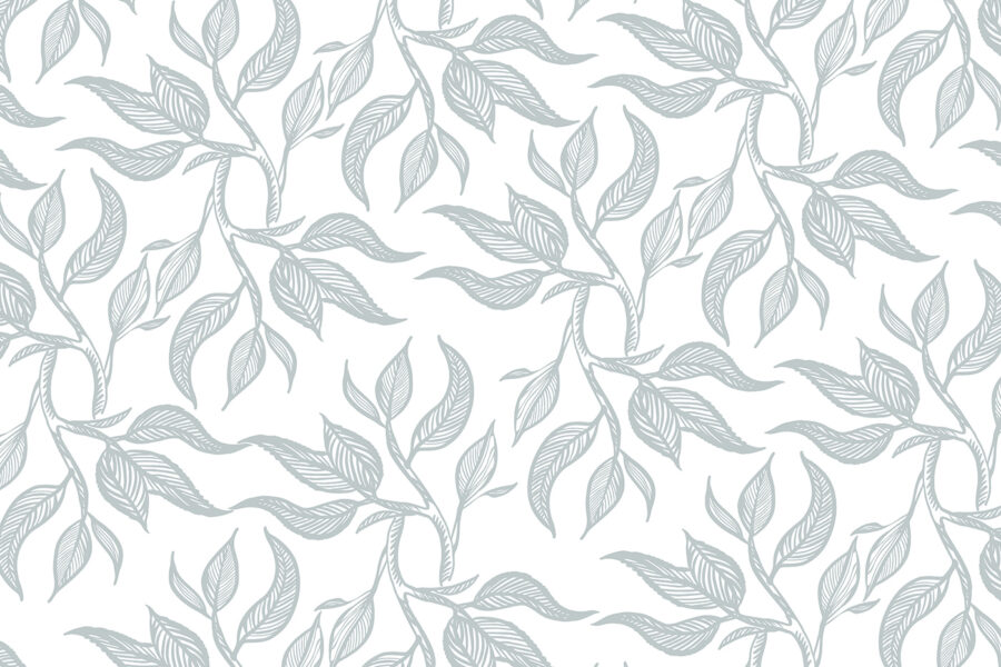 Pattern of leaves on a white background