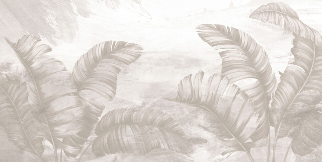 Nature’s elegance in soft tones Nature’s elegance in soft tones