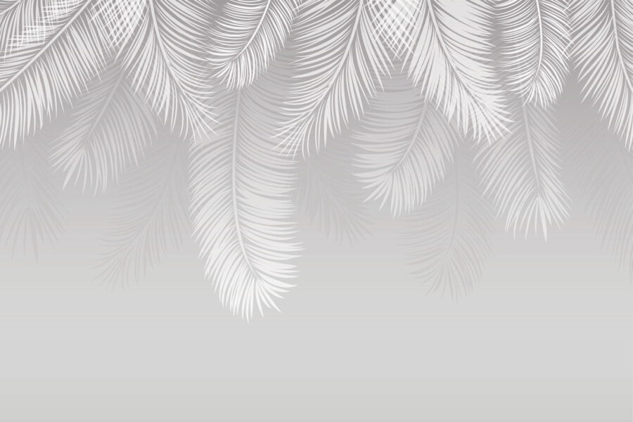 White feathers on a gray background u94450p 900x600 - White feathers on a gray background - tegory