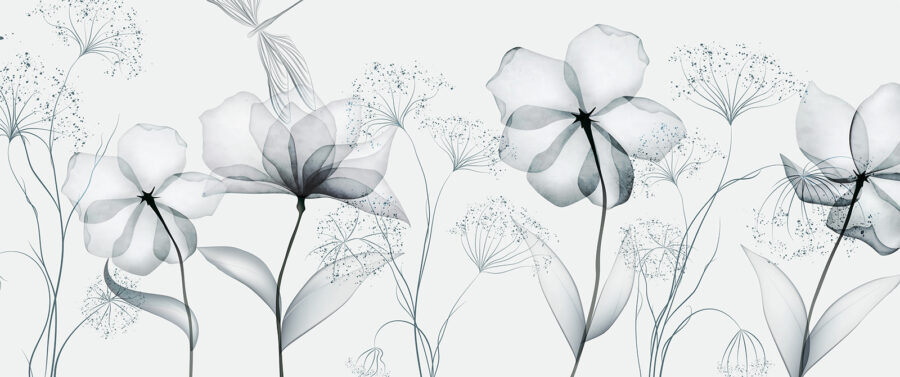 Wall murals Transparent flowers with leaves - Image 9