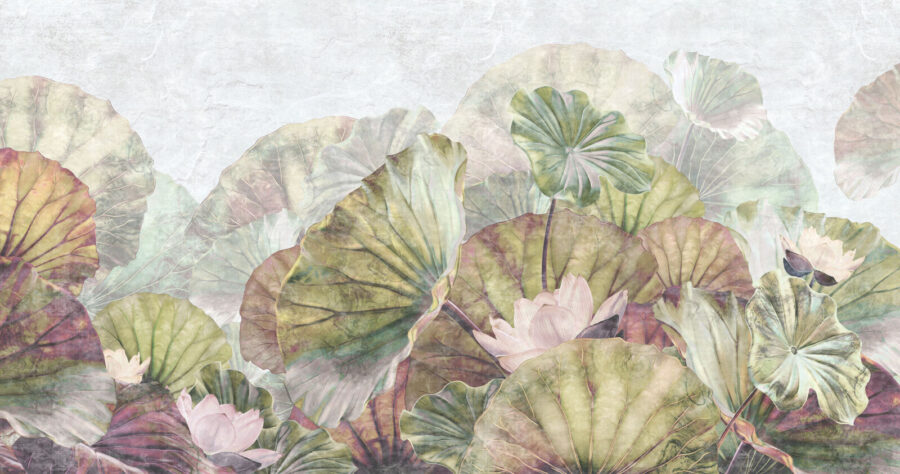 Wall murals Delicate water lily leaves and blossoms. - Image 6