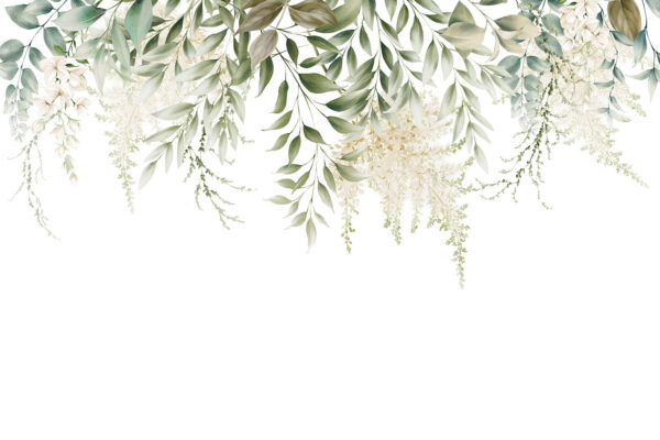 Delicate greenery on a white background. Delicate greenery on a white background.