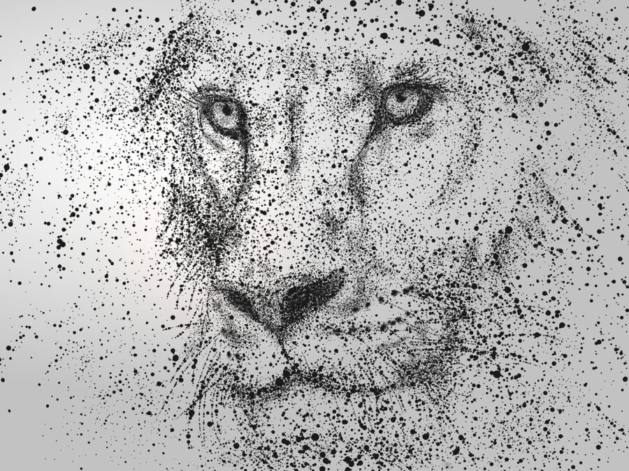 Lion’s face with black specks