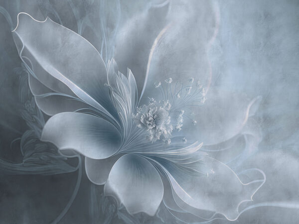 A white flower with a flower on it A white flower with a flower on it
