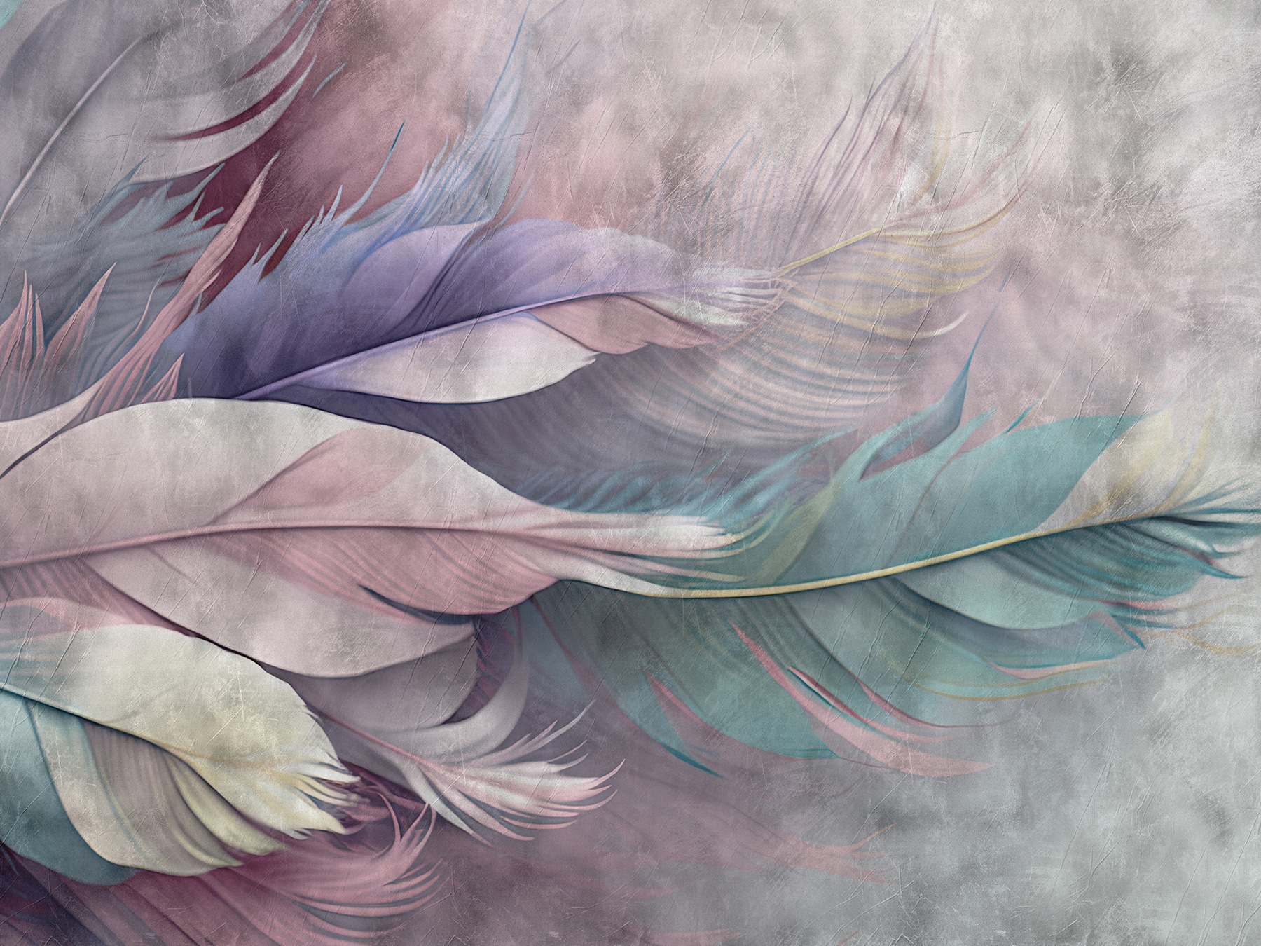 Group of feathers on a white background Group of feathers on a white background