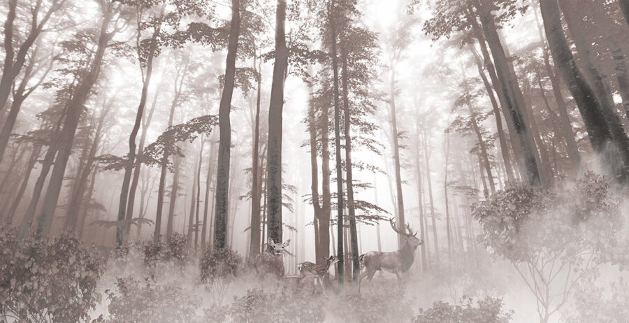 Group of deer in a forest