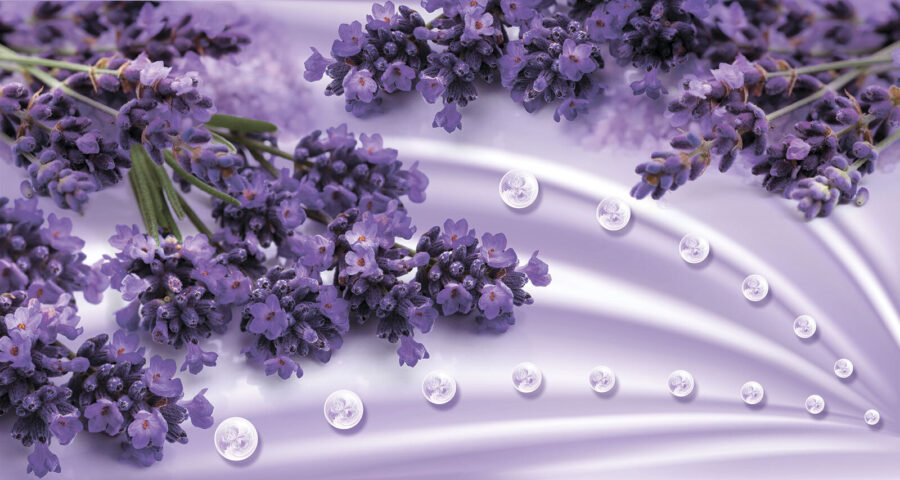 Purple flowers on a white surface