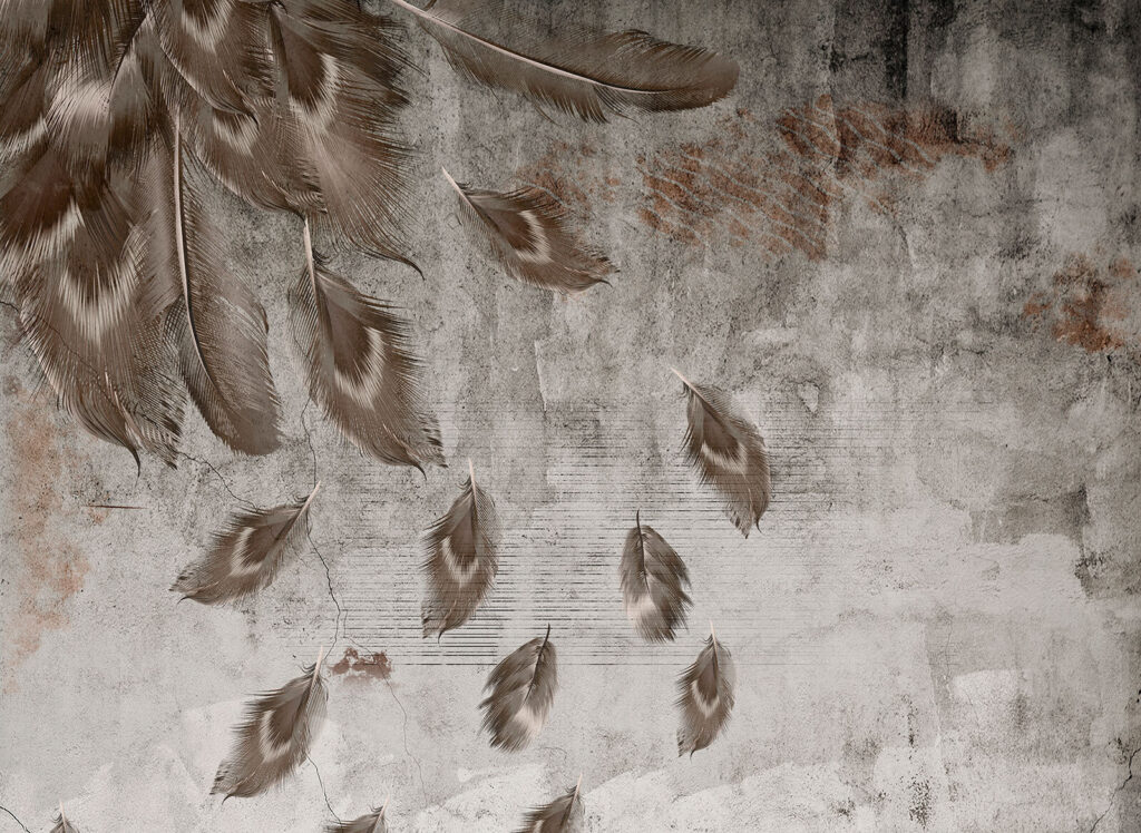 Group of feathers on a wall Group of feathers on a wall