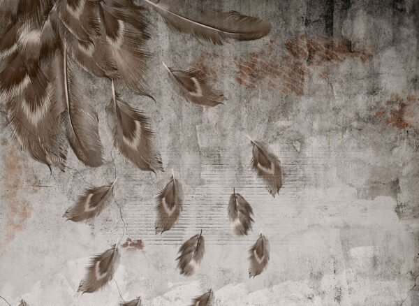 Group of feathers on a wall u93657p 600x438 - Group of feathers on a wall - tegory
