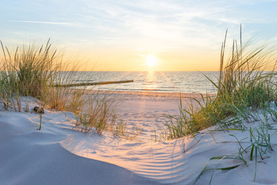 Wall murals Beach with grass and a body of water - Image 7
