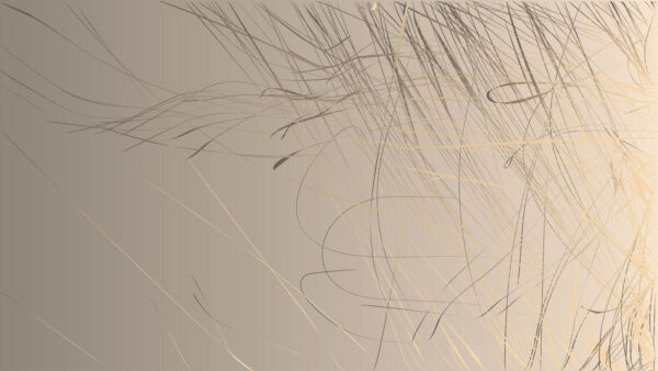 Abstract lines on a soft background. Abstract lines on a soft background.