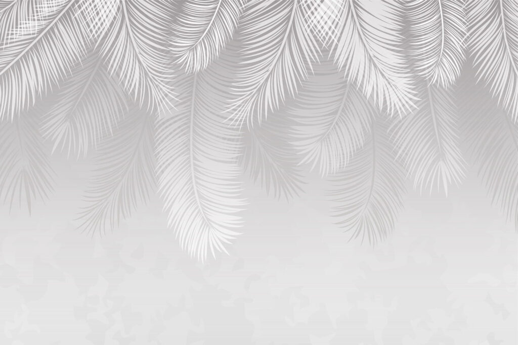 White feather pattern on a gray background White feather pattern on a gray background