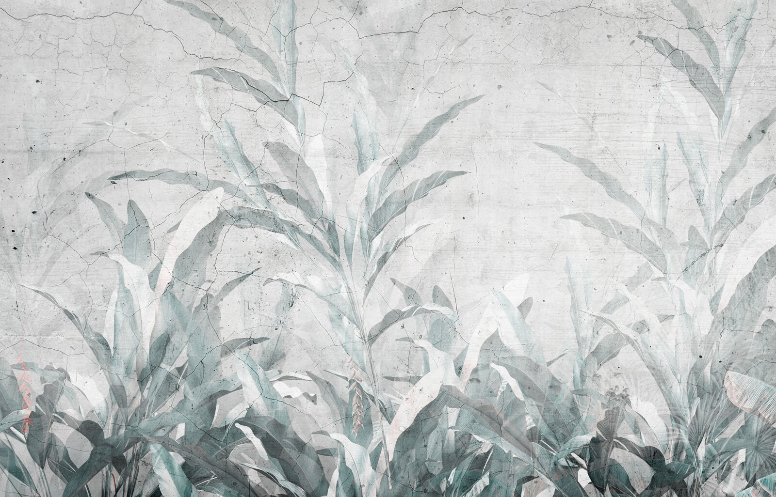 u78599p - Soft leaves against a textured backdrop - tegory