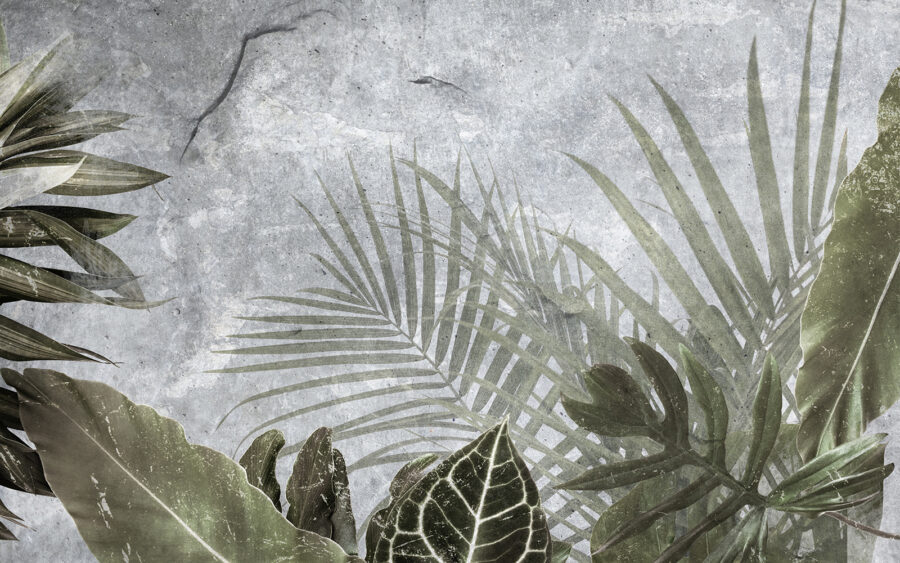 Nature’s textures in subtle hues u72775p 900x563 - Nature’s textures in subtle hues - tegory