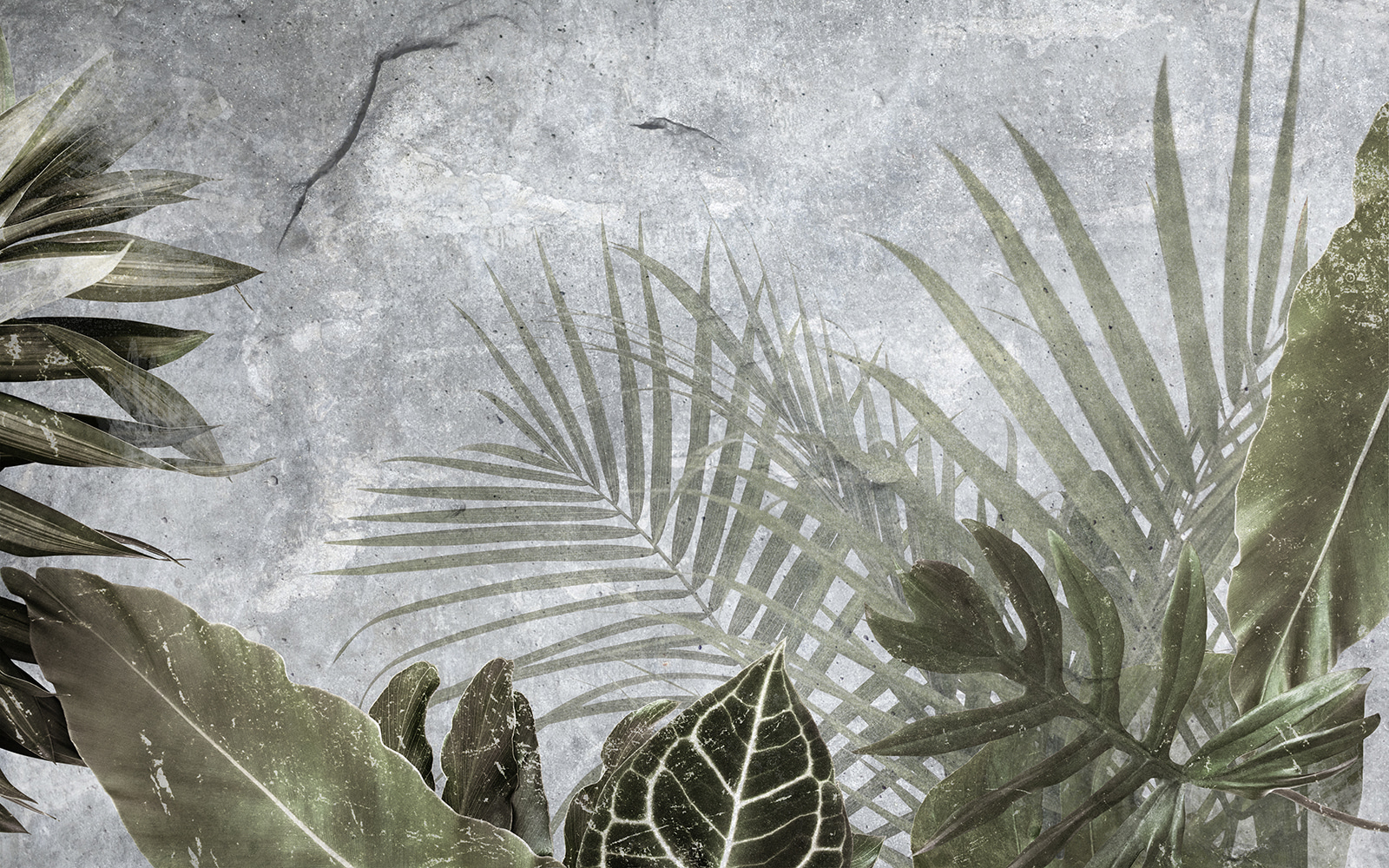 u72775p - Nature’s textures in subtle hues - tegory