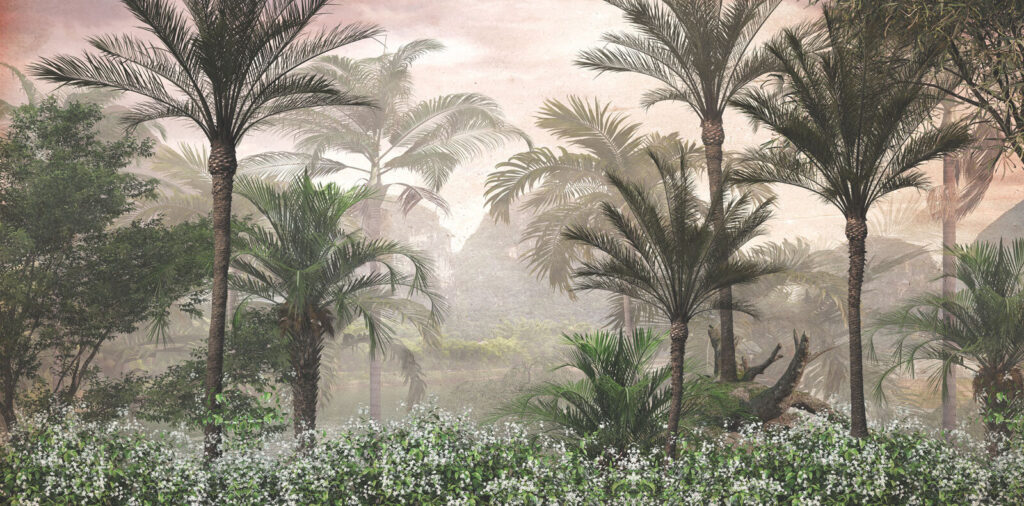 Group of palm trees and bushes Group of palm trees and bushes