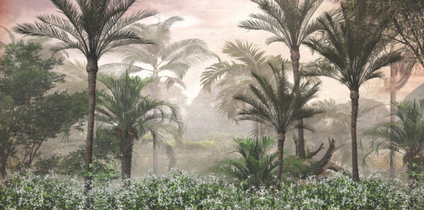 Group of palm trees and bushes Group of palm trees and bushes