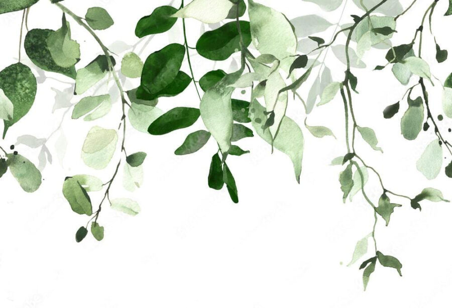 Elegant green leaves background design.