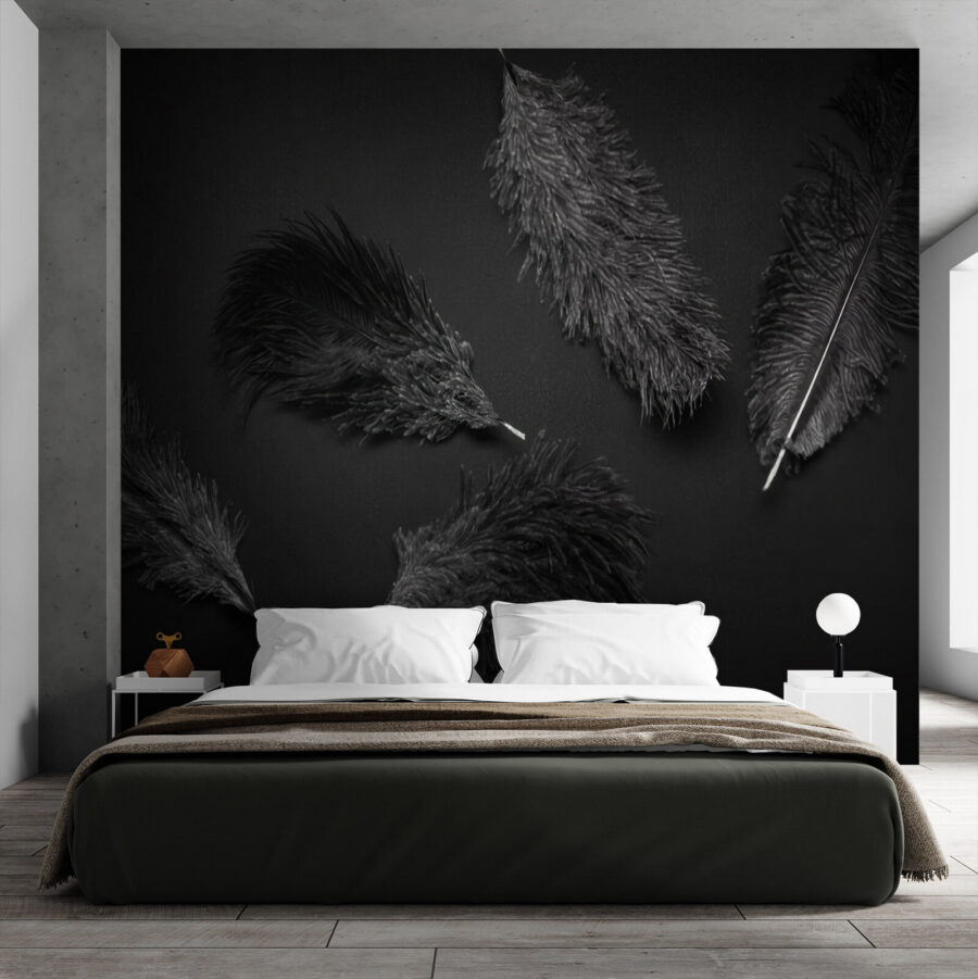 Group of black feathers Group of black feathers
