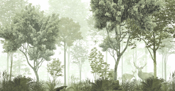 A forest with trees and plants A forest with trees and plants