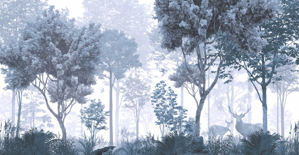 A forest with trees and plants A forest with trees and plants