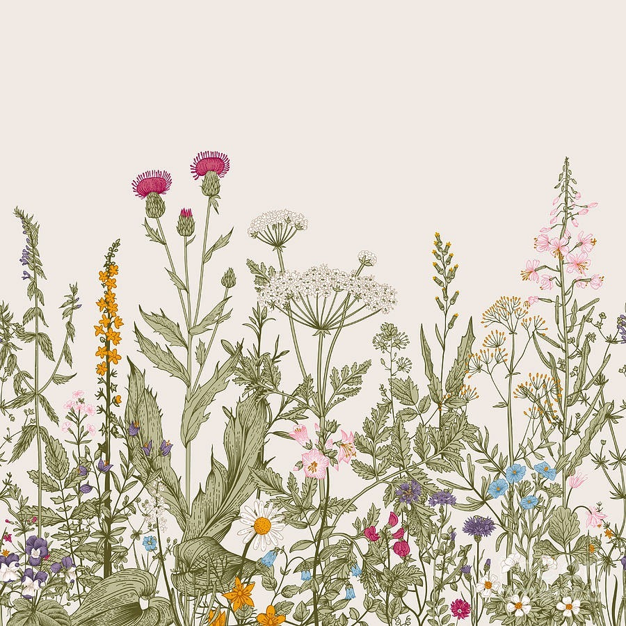 Row of flowers and plants Row of flowers and plants
