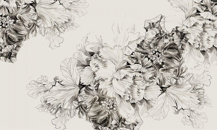 Drawing of flowers on a white background u71530p 900x540 - Drawing of flowers on a white background - tegory