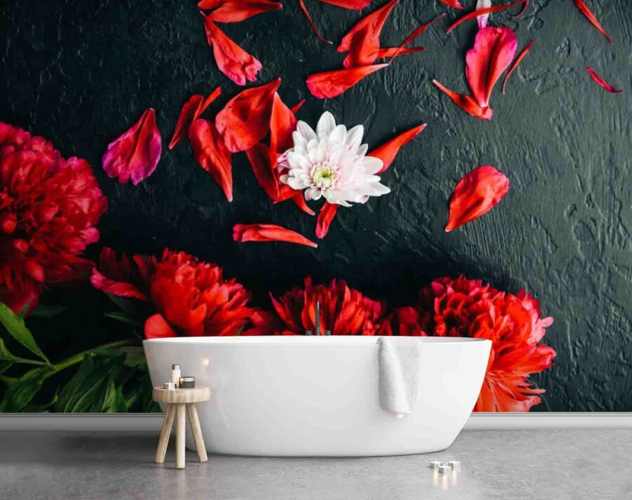 Wall murals Group of red flowers with petals on a black surface