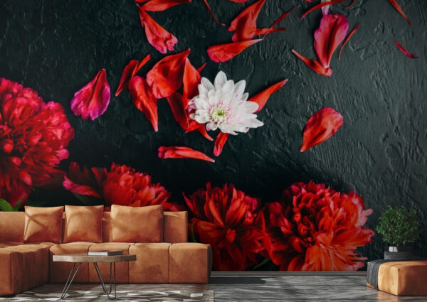 Group of red flowers with petals on a black surface Group of red flowers with petals on a black surface