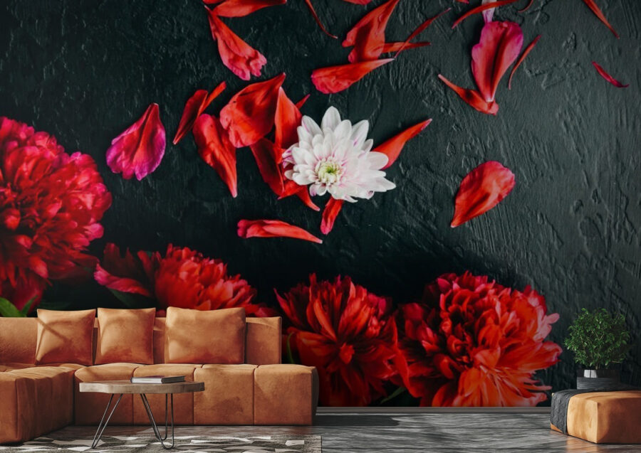Wall murals Group of red flowers with petals on a black surface - Image 3