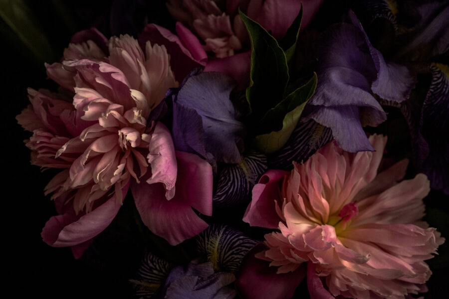 Wall murals Delicate petals in soft colors - Image 4