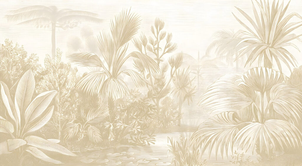 Drawing of plants and plants Drawing of plants and plants