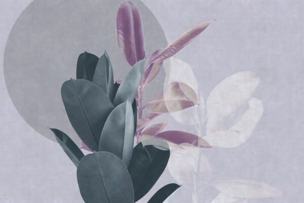 Elegant foliage with soft color tones Elegant foliage with soft color tones