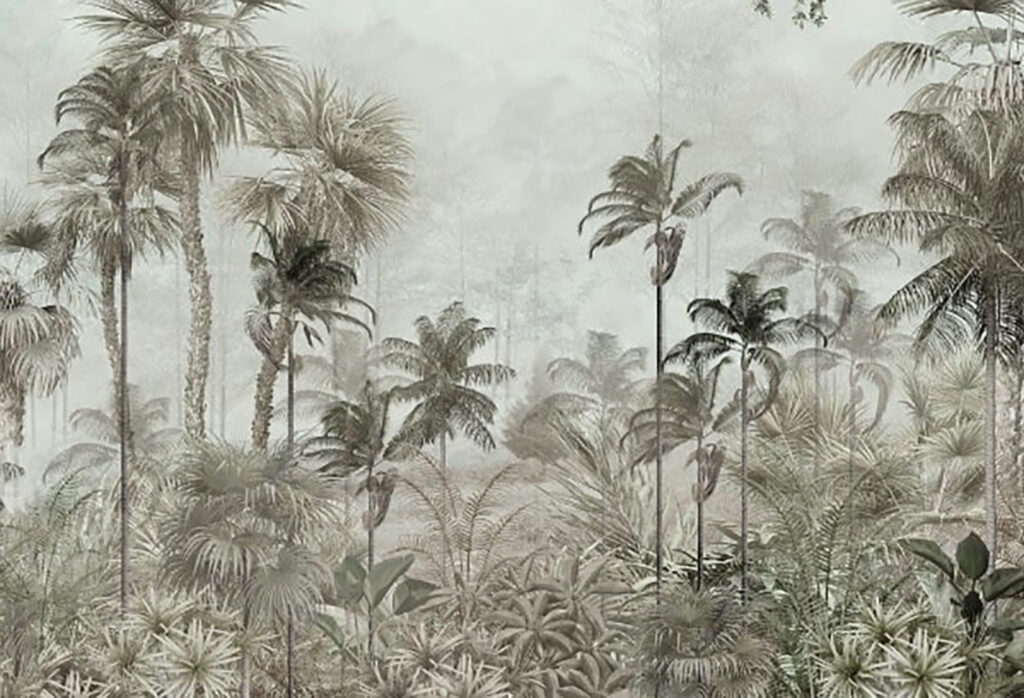 Group of palm trees in a foggy forest Group of palm trees in a foggy forest