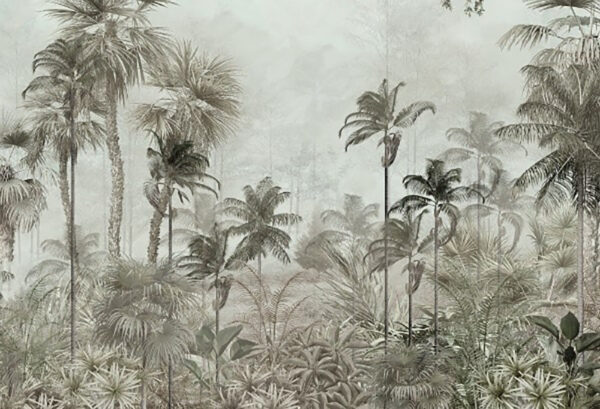 Group of palm trees in a foggy forest Group of palm trees in a foggy forest