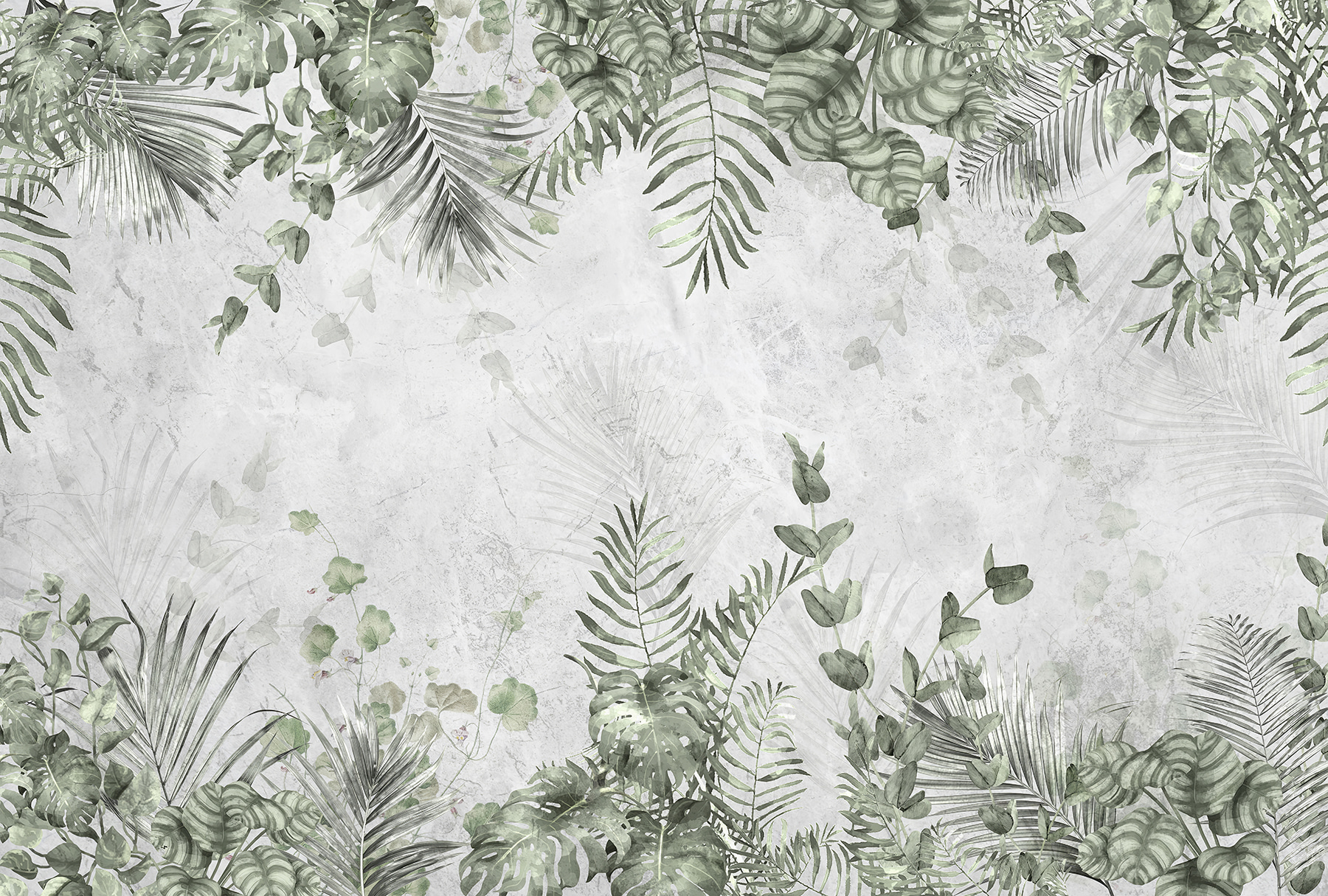 u71246p - A close up of leaves - tegory