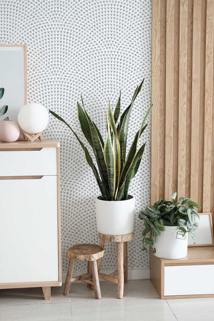 White background with blue dots